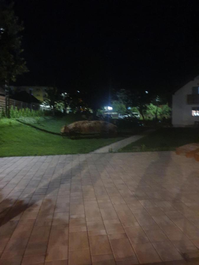 Pensiunea Transilvania Covasna Luaran gambar